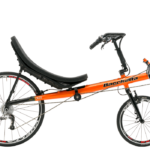 carbonbassogs